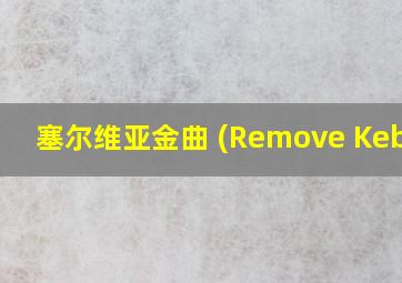 塞尔维亚金曲 (Remove Kebab)